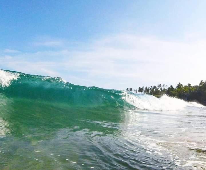 Goyambokka Guesthouse Tangalle Eksteriør bilde
