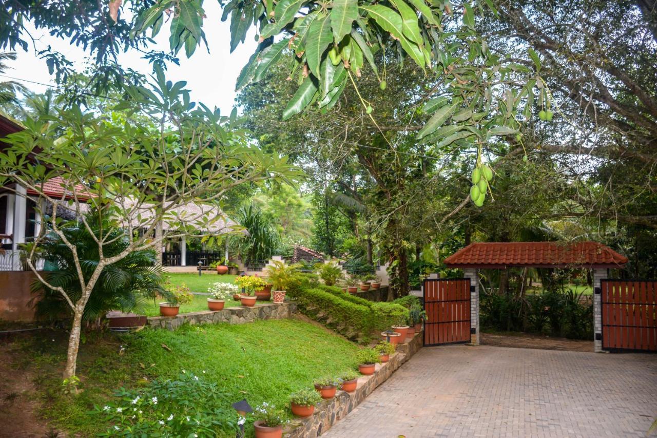 Goyambokka Guesthouse Tangalle Eksteriør bilde