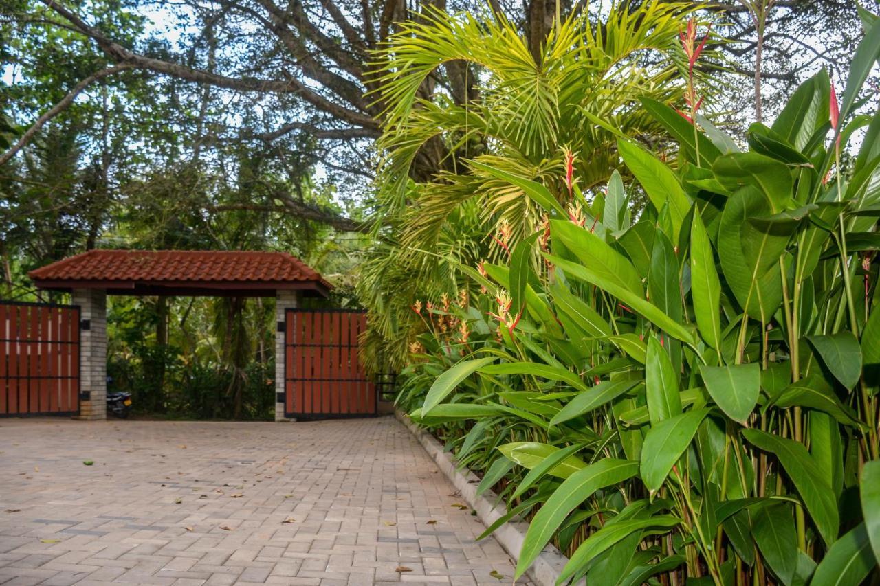 Goyambokka Guesthouse Tangalle Eksteriør bilde