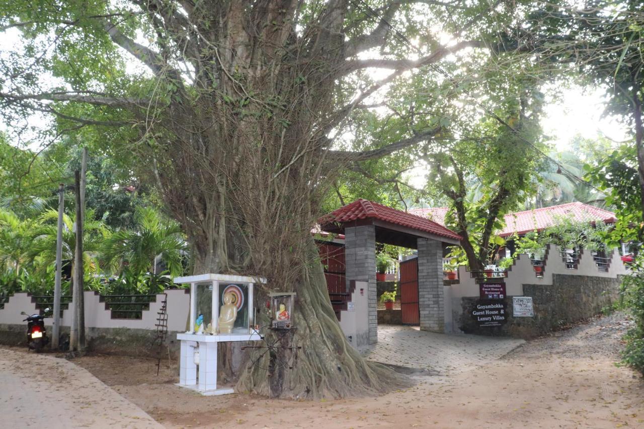 Goyambokka Guesthouse Tangalle Eksteriør bilde